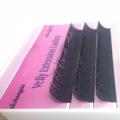 Best selling High quality Camellia eyelashes Volume Y shape lashes Eyelash extensions